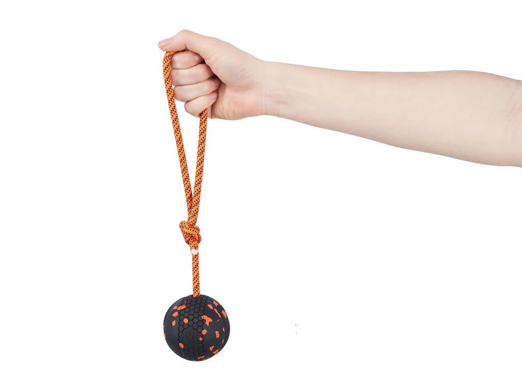 Dog Ball on rope (Non - Stop Dogwear) - SnowPaw Store - Non - Stop Dogwear - Dog Toys