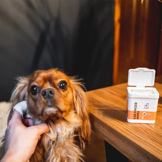 Dog Ear Wipes (Dogslife) - SnowPaw Store - Dogslife - Food & Health