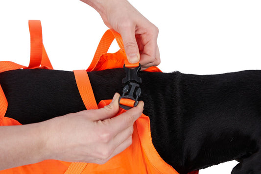 Dog Rescue Sling (Non - Stop Dogwear) - SnowPaw Store - Non - Stop Dogwear - Active Dog Gear