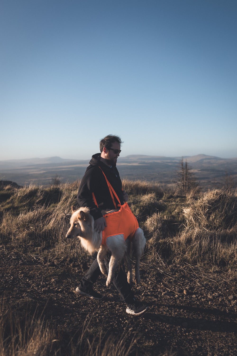 Dog Rescue Sling (Non - Stop Dogwear) - SnowPaw Store - Non - Stop Dogwear - Active Dog Gear