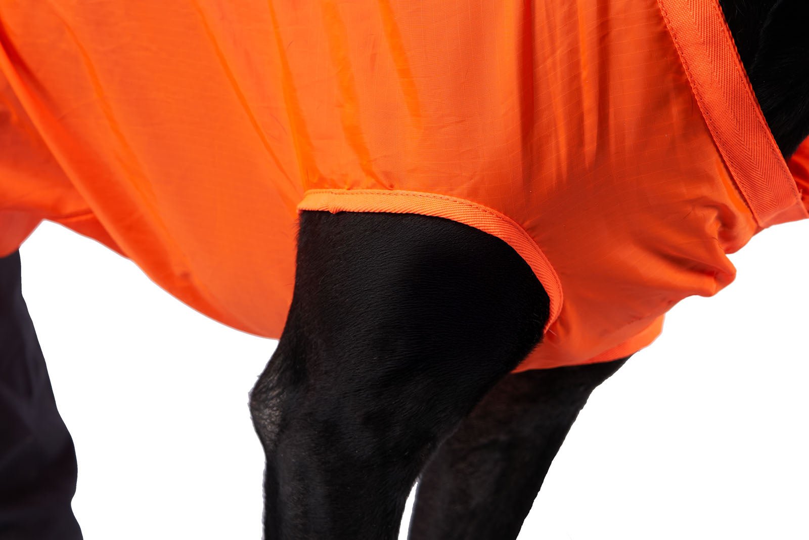 Dog Rescue Sling (Non - Stop Dogwear) - SnowPaw Store - Non - Stop Dogwear - Active Dog Gear