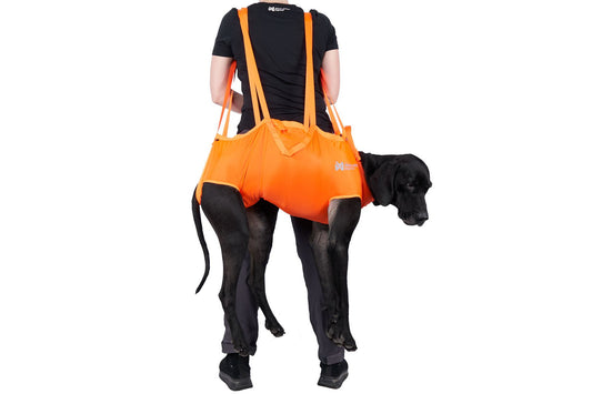 Dog Rescue Sling (Non - Stop Dogwear) - SnowPaw Store - Non - Stop Dogwear - Active Dog Gear