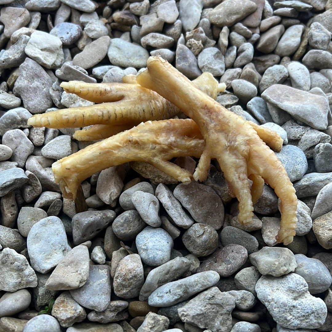 Dried Chicken Feet - SnowPaw Store - JR Pet Products - Dog Food