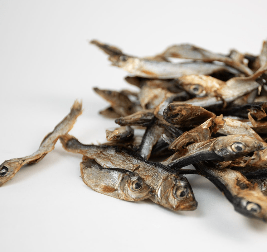Dried Sprats 100g (Buddylicious) - SnowPaw Store - Buddylicious - Dog Food