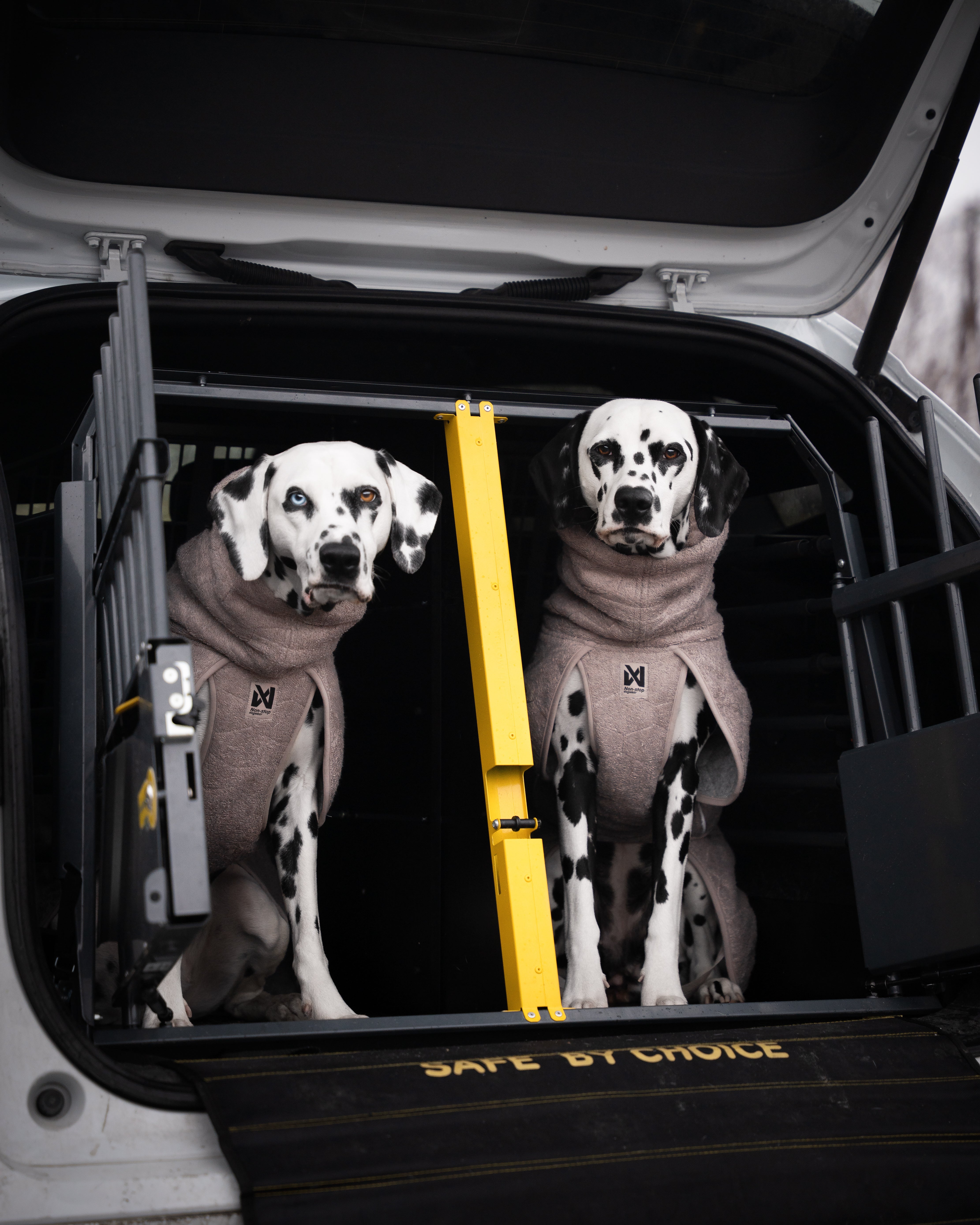 Drying Coat (Non - Stop Dogwear) - SnowPaw Store - Non - Stop Dogwear - Dog Coats