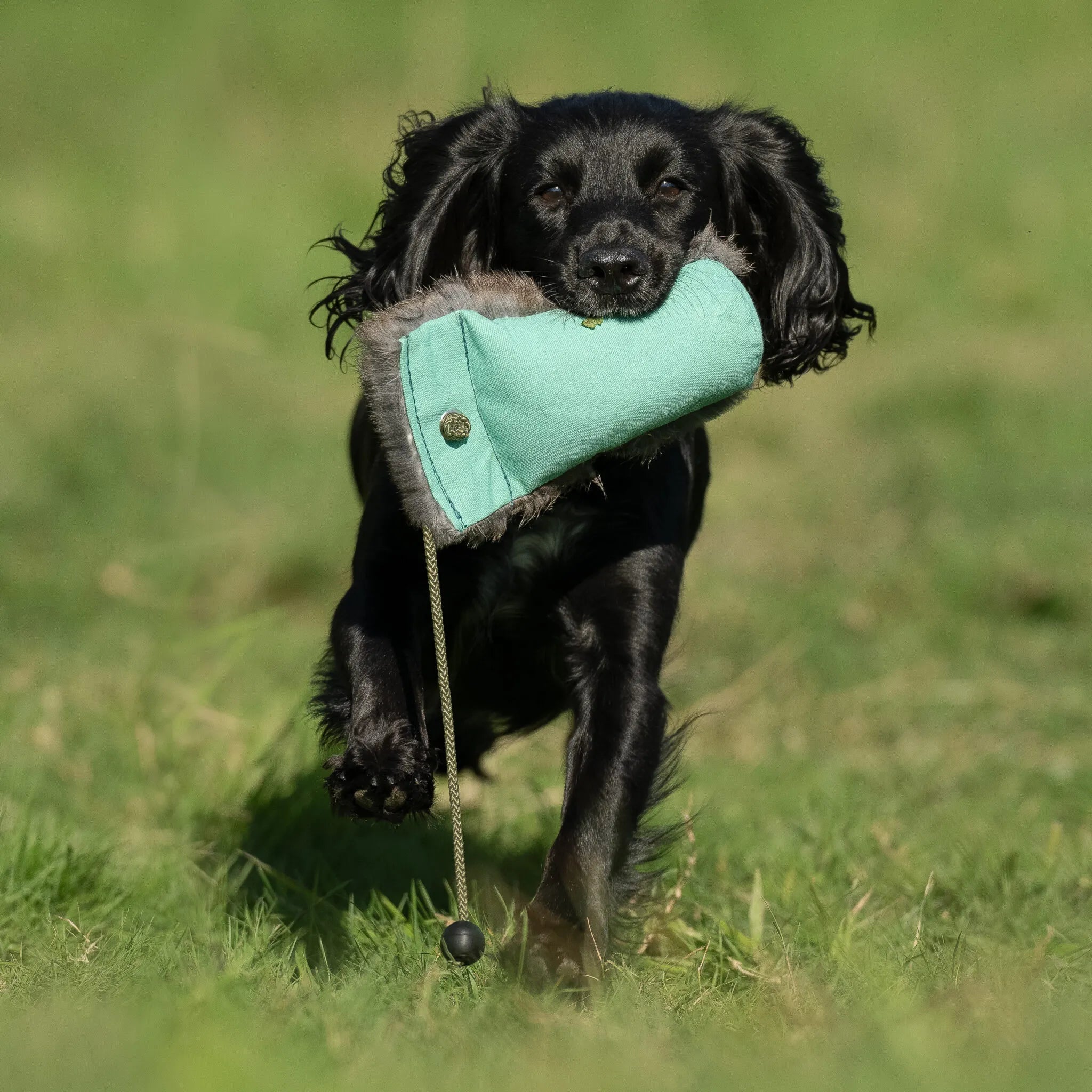 Dual Dummy (Sporting Saint) - SnowPaw Store - Sporting Saint - Gun Dog Equipment