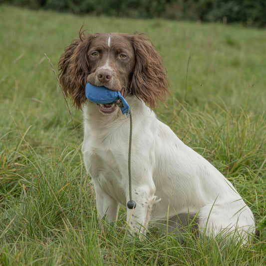 Dummy Balls (Sporting Saint) - SnowPaw Store - Sporting Saint - Gun Dog Equipment