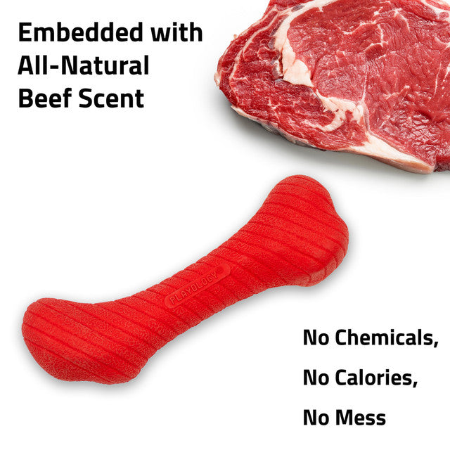 Crunchy Femur Dog Toy (Playology)