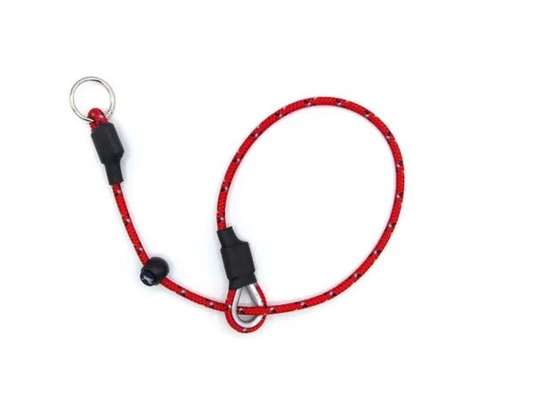 Field Trial Pro Slip Collar (Sporting Saint) - SnowPaw Store - Sporting Saint - Dog Collars