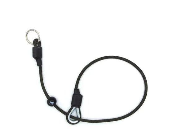 Field Trial Pro Slip Collar (Sporting Saint) - SnowPaw Store - Sporting Saint - Dog Collars