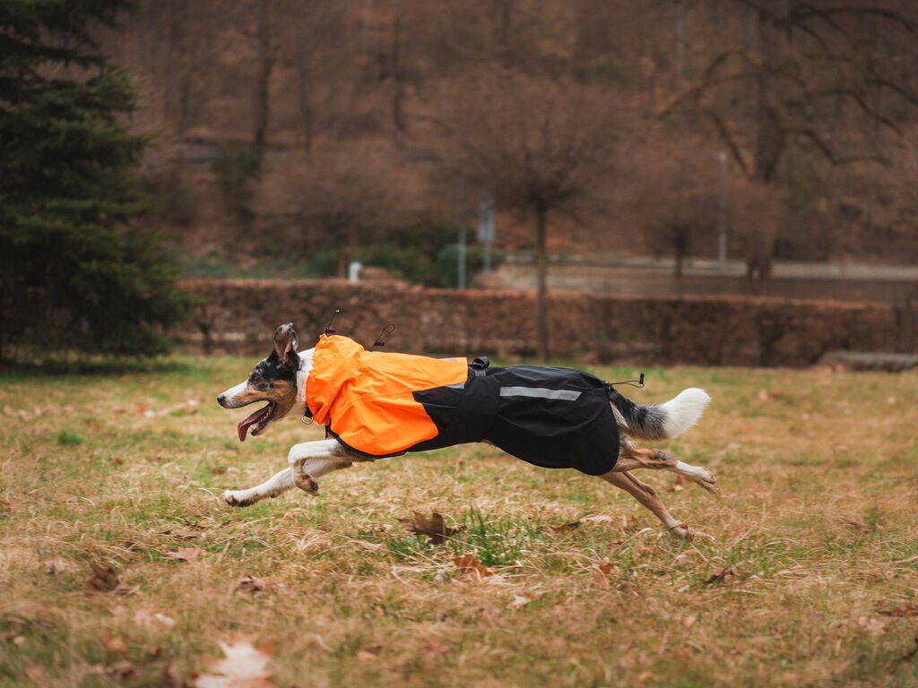 Fjord Raincoat 2.0 NEW Colours (Non - Stop Dogwear) - SnowPaw Store - Non - Stop Dogwear - Dog Coats