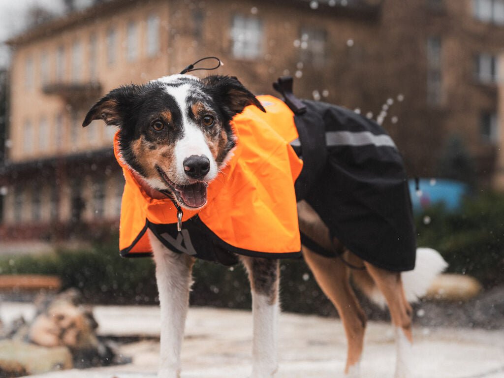 Fjord Raincoat 2.0 NEW Colours (Non - Stop Dogwear) - SnowPaw Store - Non - Stop Dogwear - Dog Coats