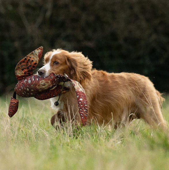 Flight Dummy (Sporting Saint) - SnowPaw Store - Sporting Saint - Gun Dog Equipment