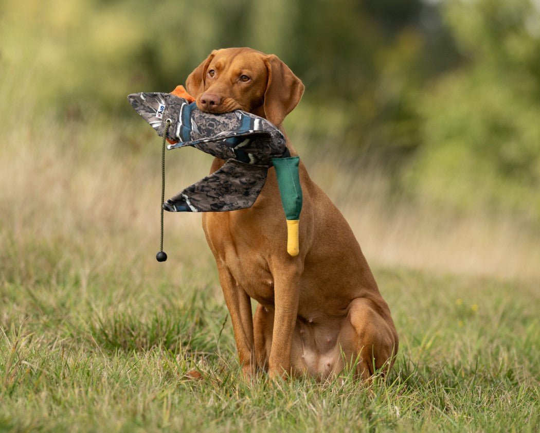 Flight Dummy (Sporting Saint) - SnowPaw Store - Sporting Saint - Gun Dog Equipment