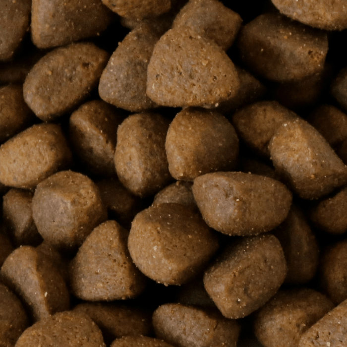 Forager Mix (Millies Wolfheart) - SnowPaw Store - Millies Wolfheart - Dog Food