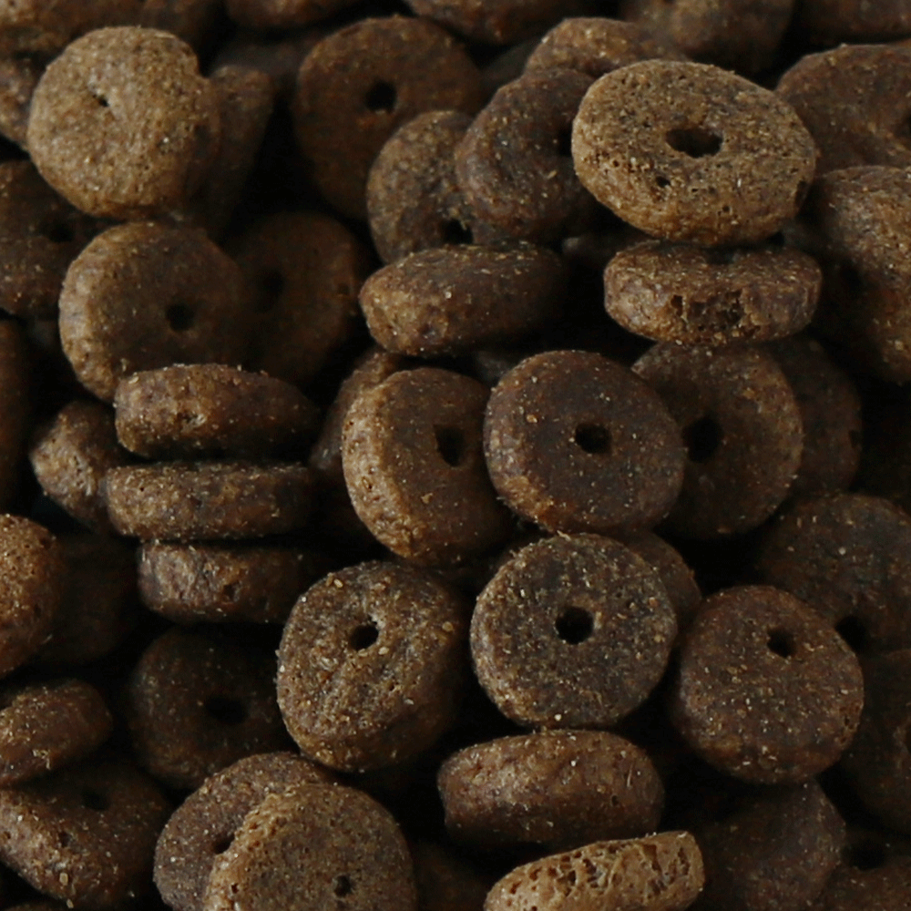 Forerunner Dry Dog Food Forerunner 12kg (Millies Wolfheart) - SnowPaw Store - Millies Wolfheart - Dog Food