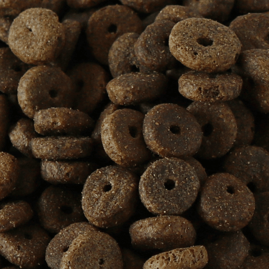 Forerunner Dry Dog Food Forerunner 12kg (Millies Wolfheart) - SnowPaw Store - Millies Wolfheart - Dog Food
