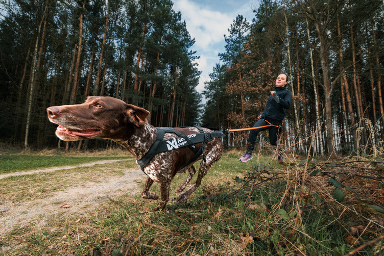 ***NEW*** Freemotion Pro Harness (Non-Stop Dogwear)