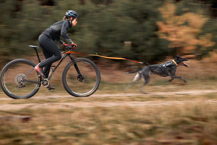 ***NEW*** Freemotion Pro Harness (Non-Stop Dogwear)