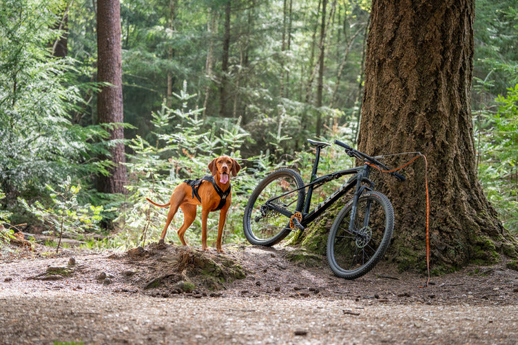 ***NEW*** Freemotion Pro Harness (Non-Stop Dogwear)