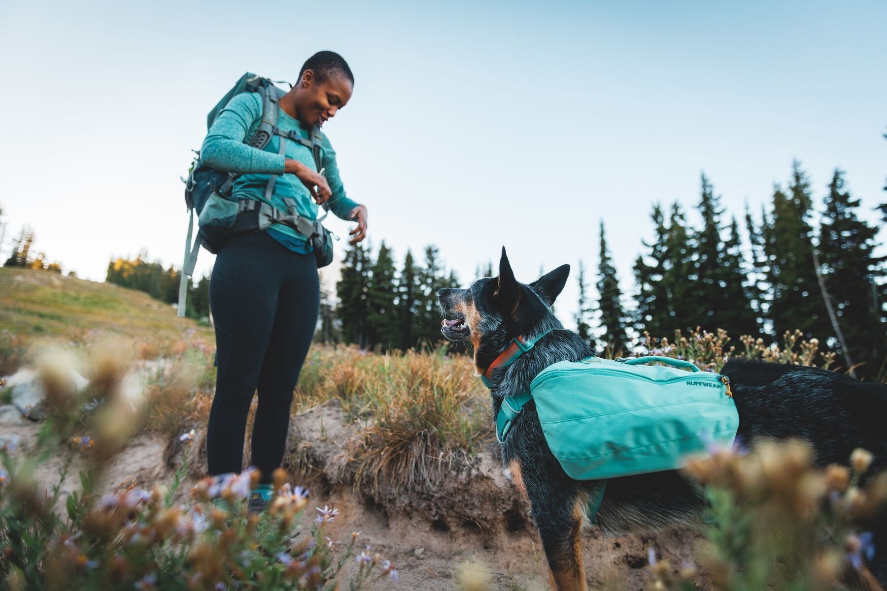 Front Range Day Pack (Ruffwear) - SnowPaw Store - Ruffwear - Active Dog Gear