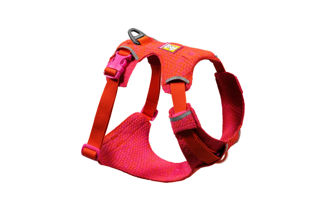 Front Range Flex Harness, Collar and Lead Set (Ruffwear) - SnowPaw Store - Ruffwear - Active Dog Gear