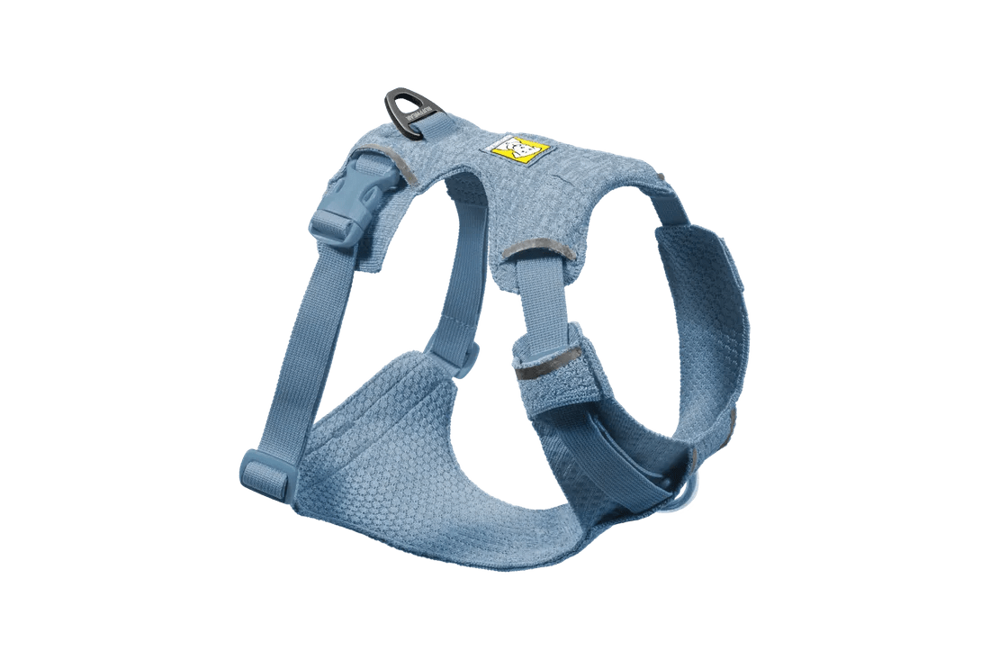Front Range Flex Harness, Collar and Lead Set (Ruffwear) - SnowPaw Store - Ruffwear - Active Dog Gear