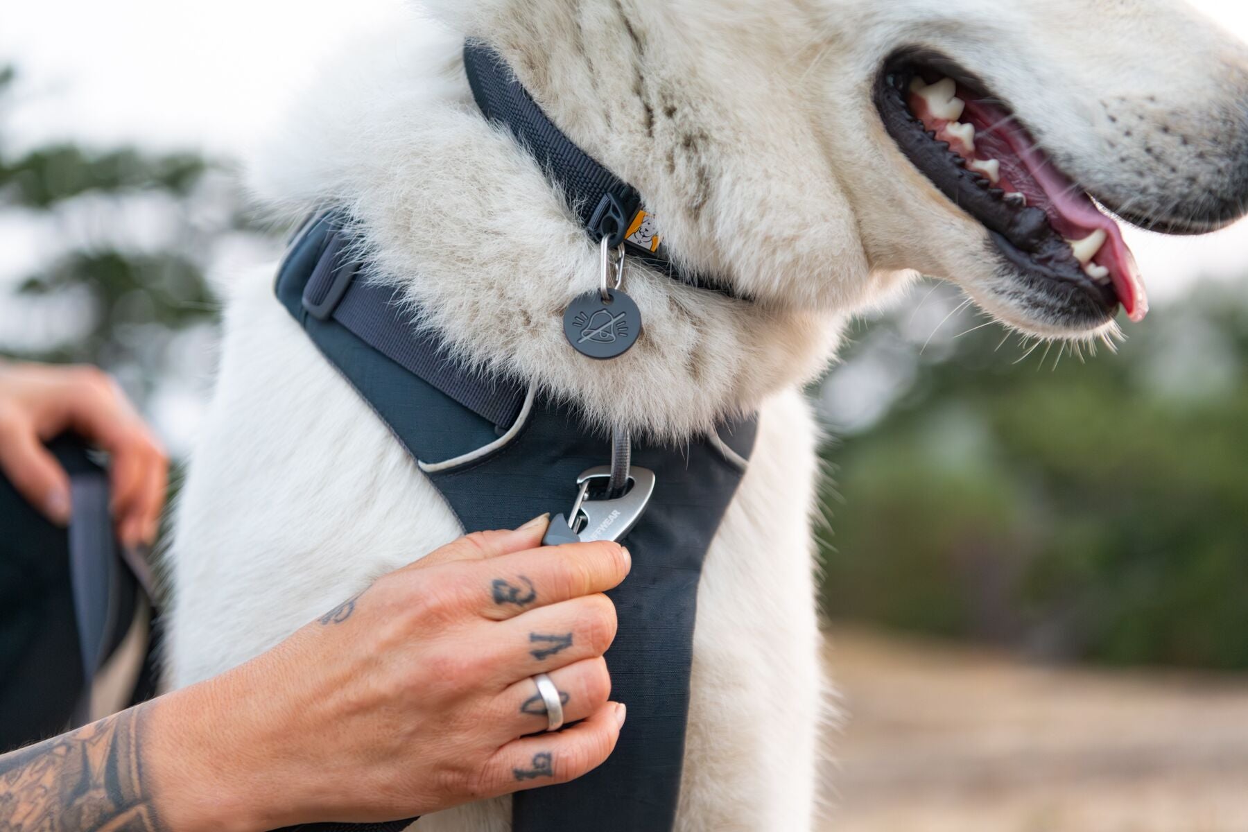 Front Range™ Harness (Ruffwear) - SnowPaw Store - Ruffwear - Dog Harness