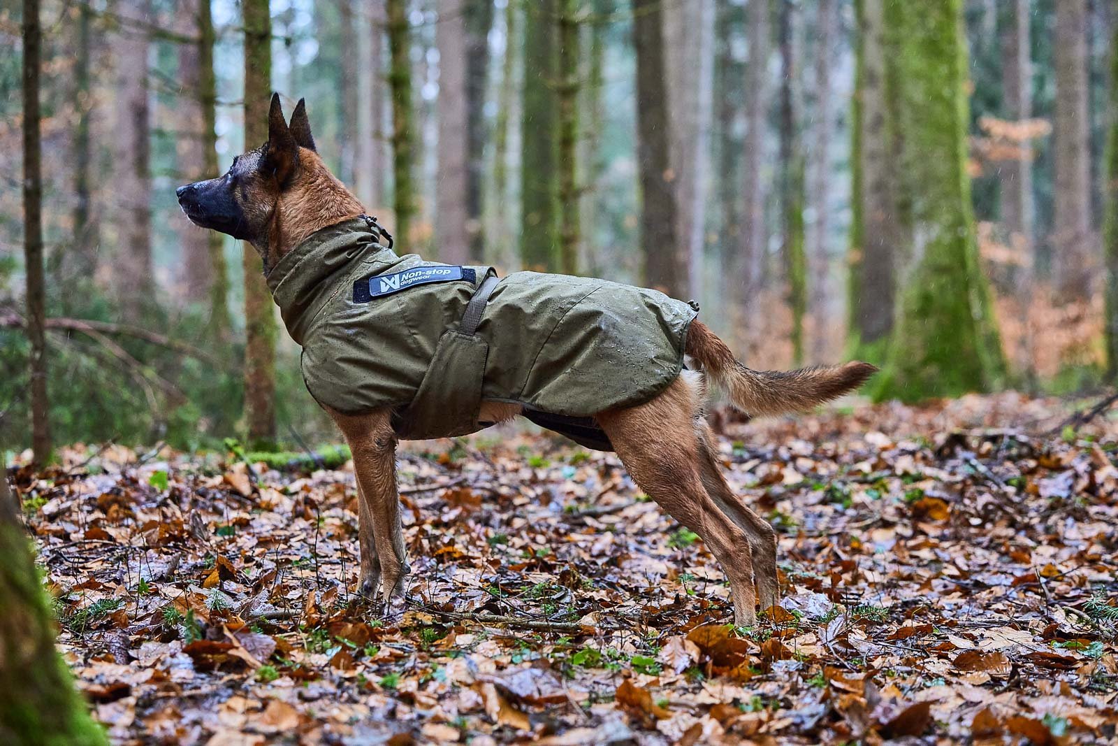 Glacier Dog Jacket WD (Non - Stop Dogwear) - SnowPaw Store - Non - Stop Dogwear - Dog Coats