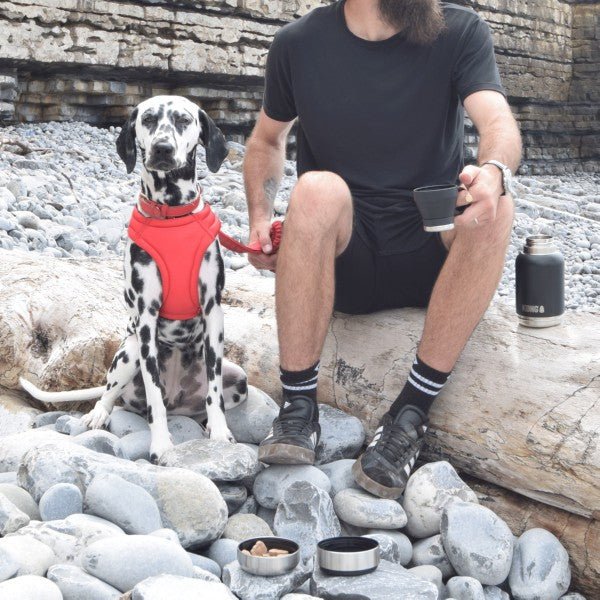 H2O Duo Day Trek Water Bottle (KONG) - SnowPaw Store - KONG - Active Human Gear