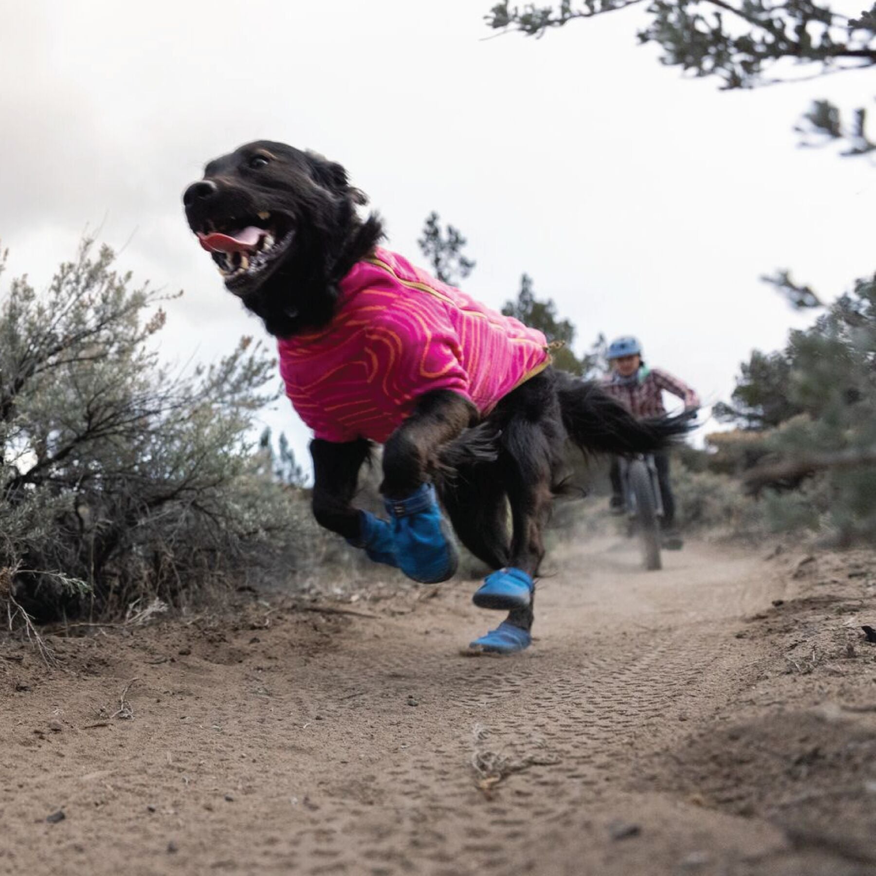 Hi & Light™ Trail Shoes (Ruffwear) - SnowPaw Store - Ruffwear - Active Dog Gear
