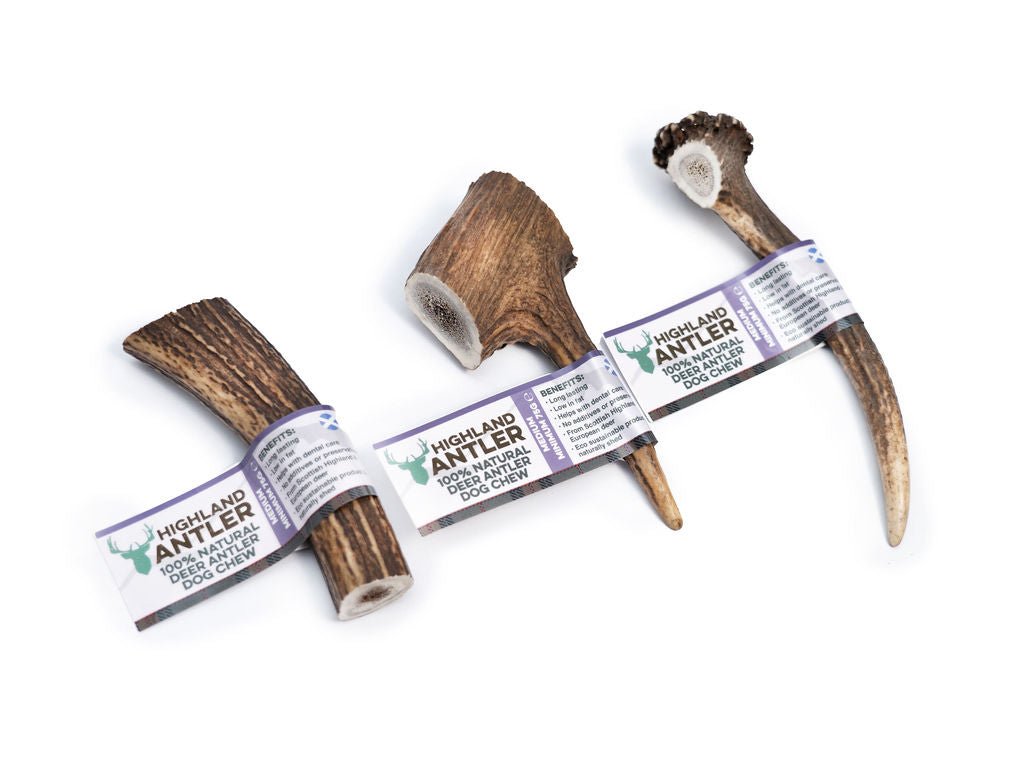 Highland Antler (Nova) - SnowPaw Store - Nova Dog Chews - Dog Treats
