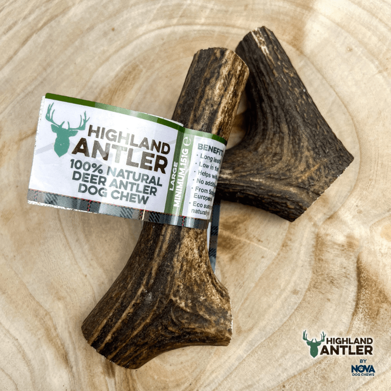 Highland Antler (Nova) - SnowPaw Store - Nova Dog Chews - Dog Treats