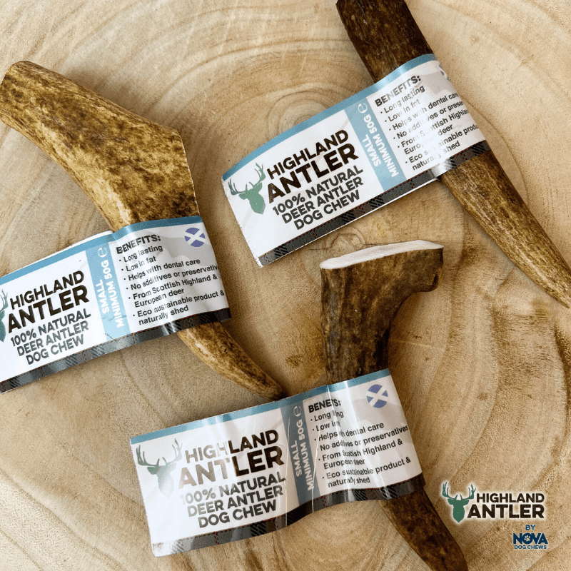 Highland Antler (Nova) - SnowPaw Store - Nova Dog Chews - Dog Treats