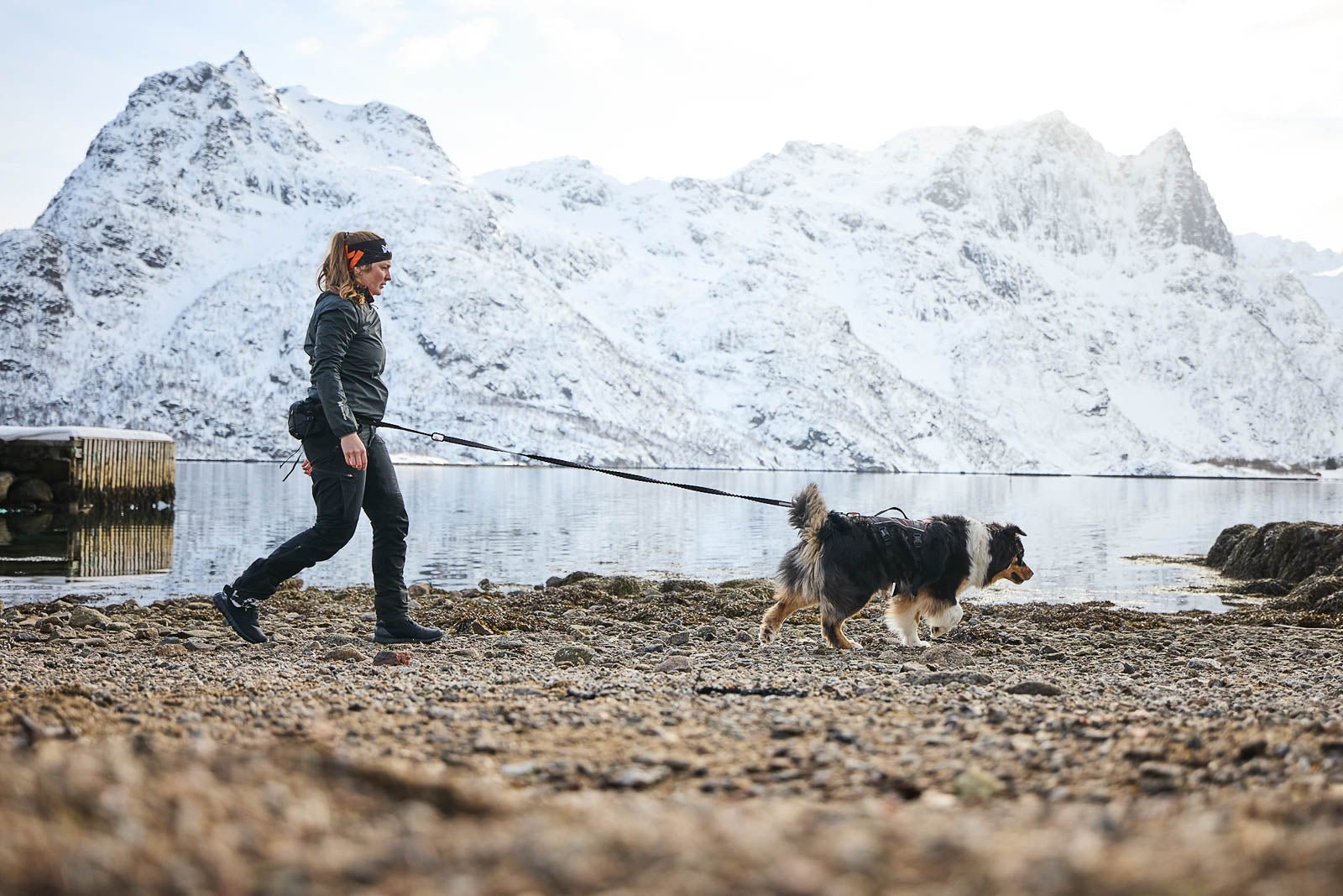 Hiking Kit (Non - Stop Dogwear) - SnowPaw Store - Non - Stop Dogwear - Active Dog Gear