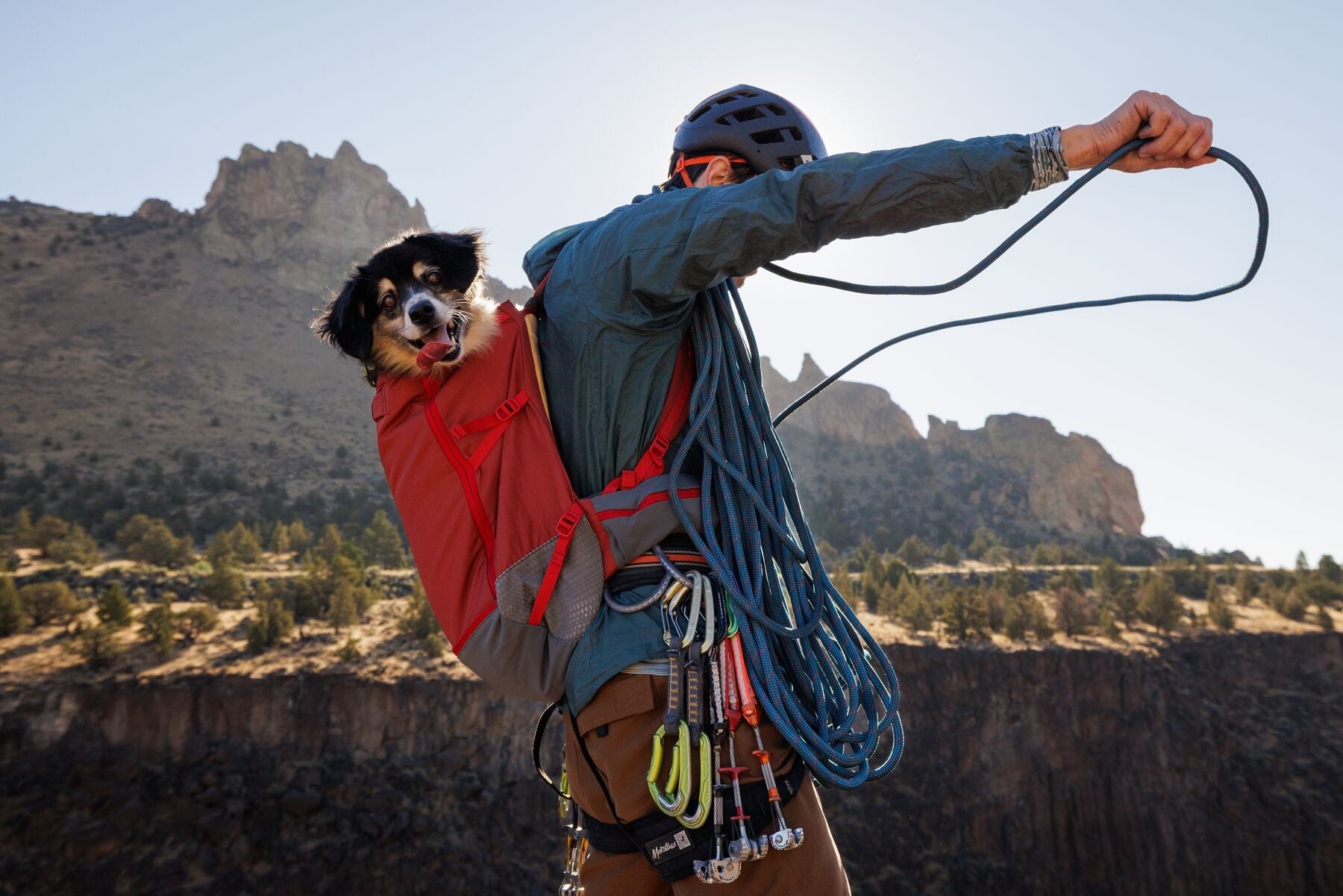 Hitch Hiker™ Dog Backpack Carrier (Ruffwear) - SnowPaw Store - Ruffwear - Active Human Gear