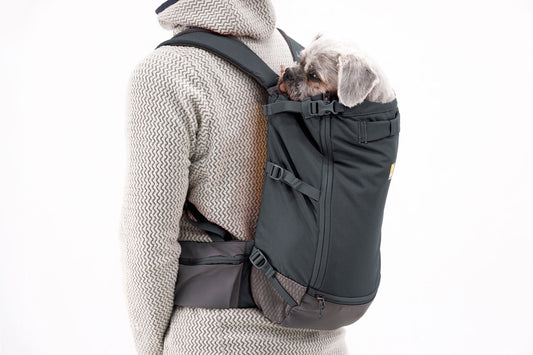 Hitch Hiker™ Dog Backpack Carrier (Ruffwear) - SnowPaw Store - Ruffwear - Active Human Gear