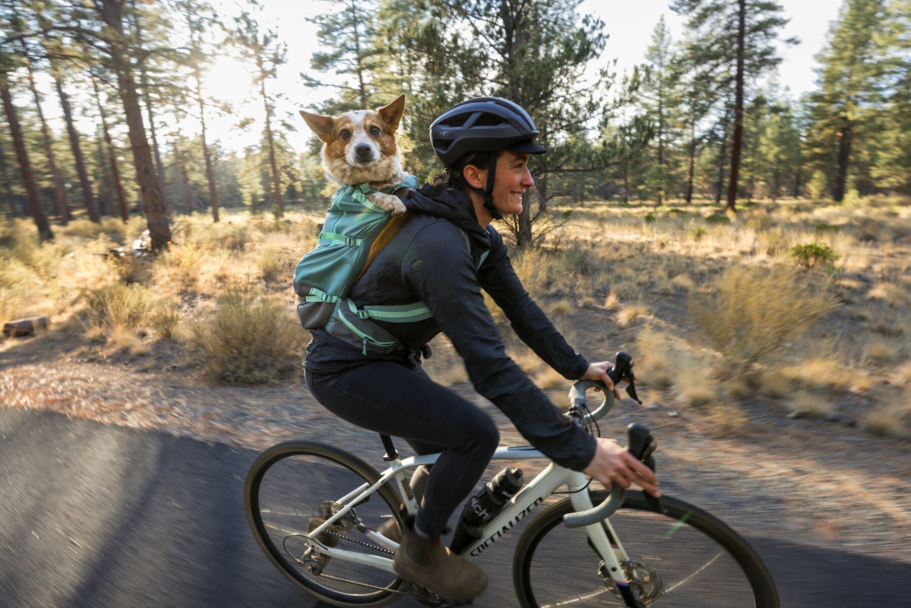 Hitch Hiker™ Dog Backpack Carrier (Ruffwear) - SnowPaw Store - Ruffwear - Active Human Gear