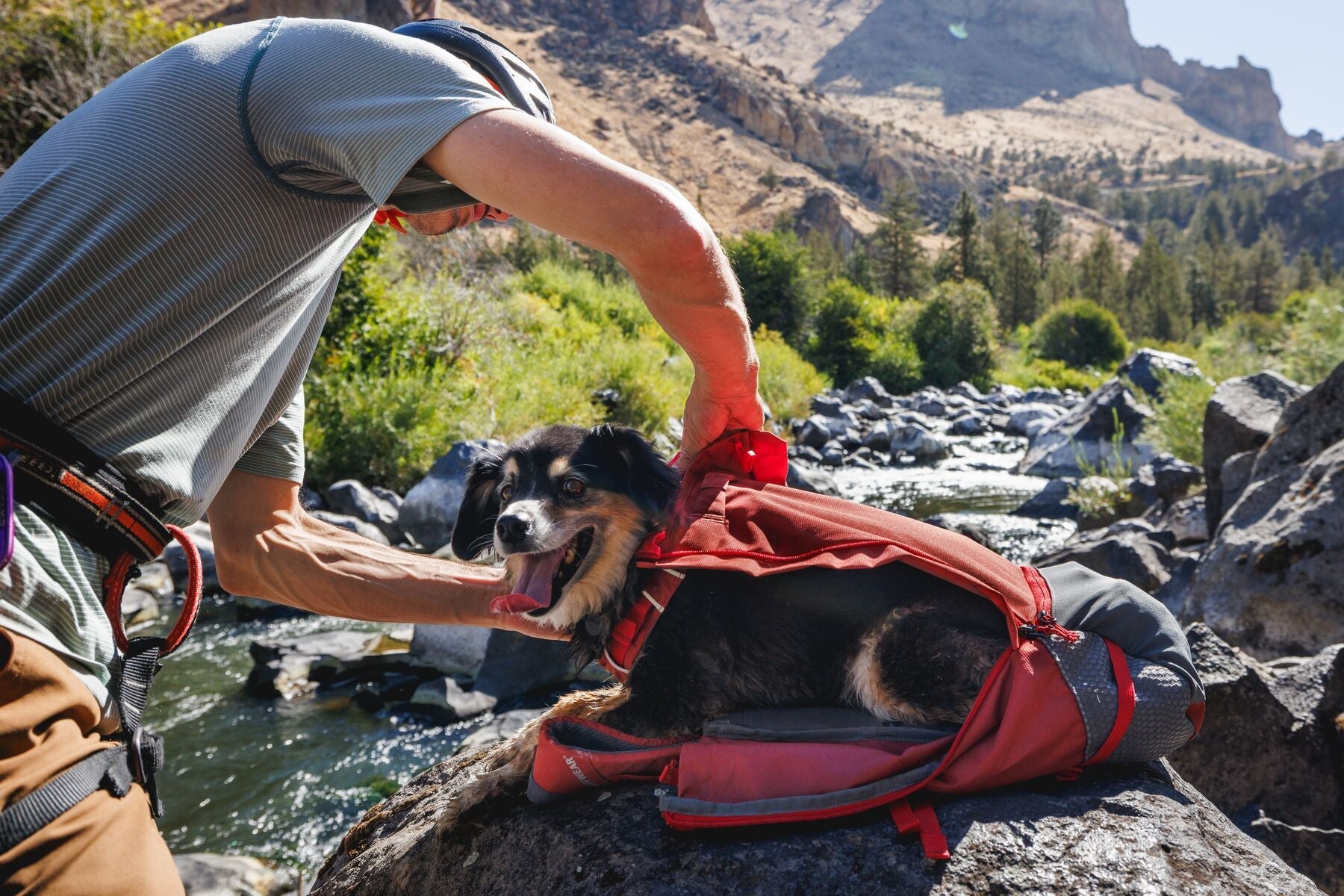 Hitch Hiker™ Dog Backpack Carrier (Ruffwear) - SnowPaw Store - Ruffwear - Active Human Gear