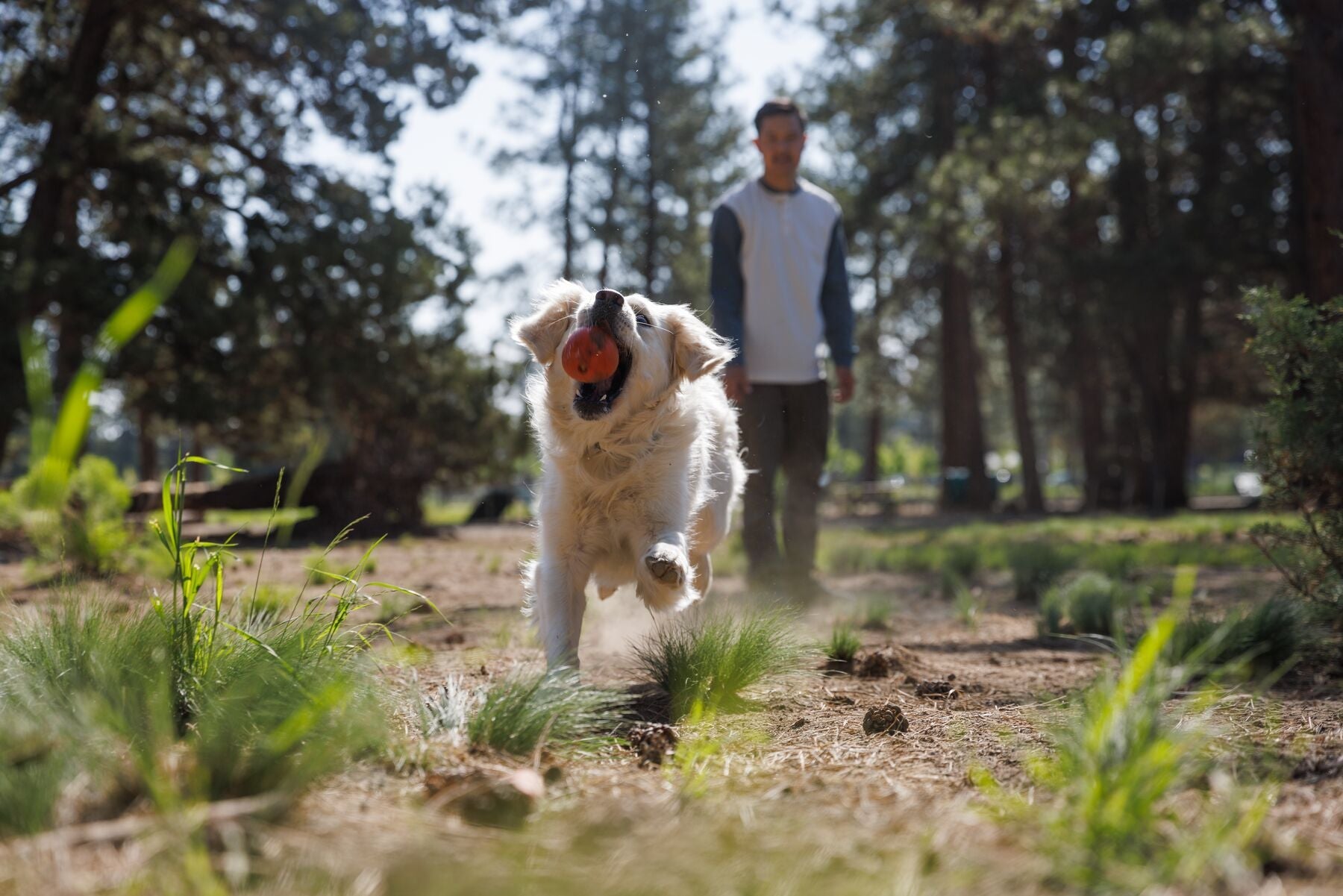 Huckama (Ruffwear) - SnowPaw Store - Ruffwear - Dog Toys