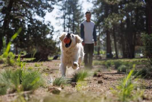 Huckama (Ruffwear) - SnowPaw Store - Ruffwear - Dog Toys
