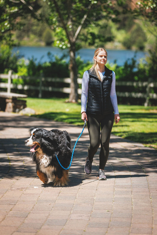 Just a Cinch™ Leash(Ruffwear) - SnowPaw Store - Ruffwear - Dog Collars, Leads, Belts