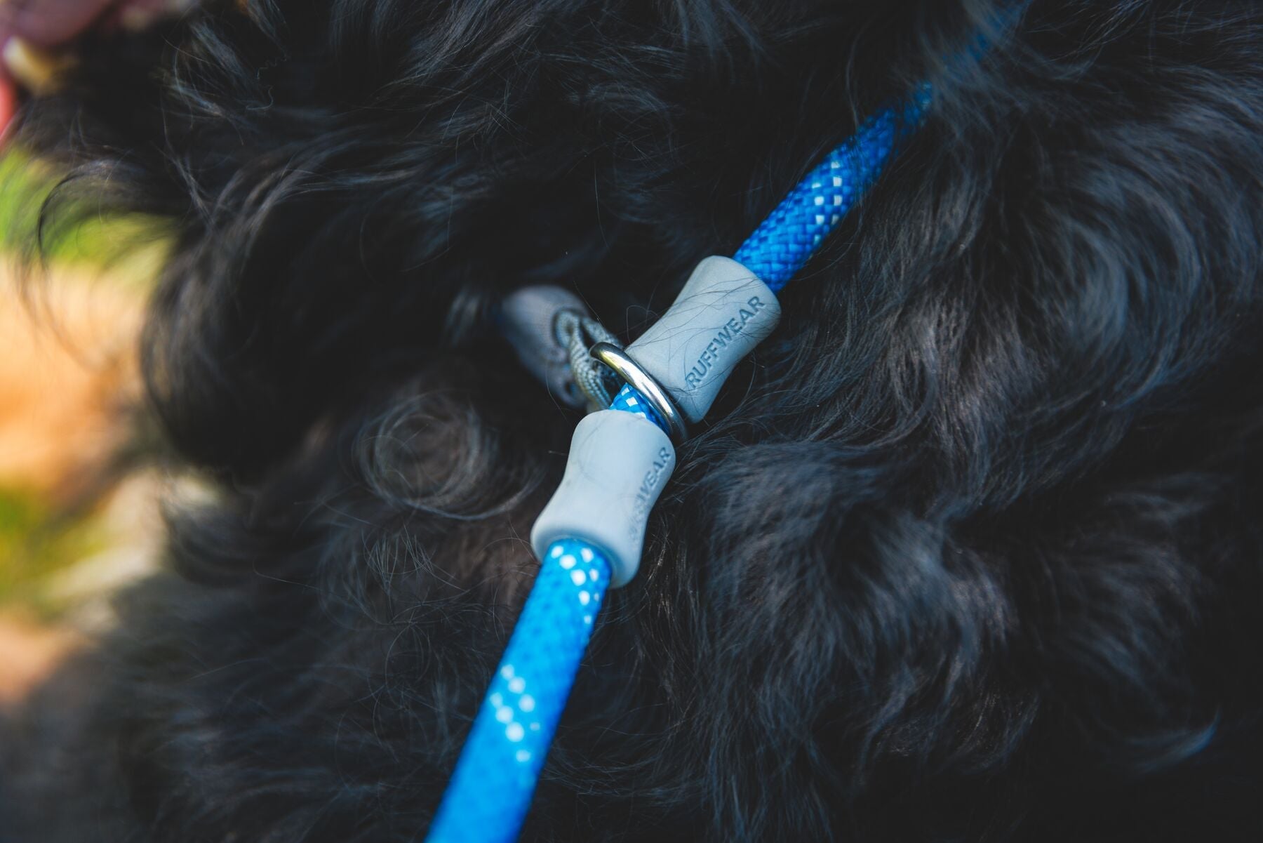 Just a Cinch™ Leash(Ruffwear) - SnowPaw Store - Ruffwear - Dog Collars, Leads, Belts