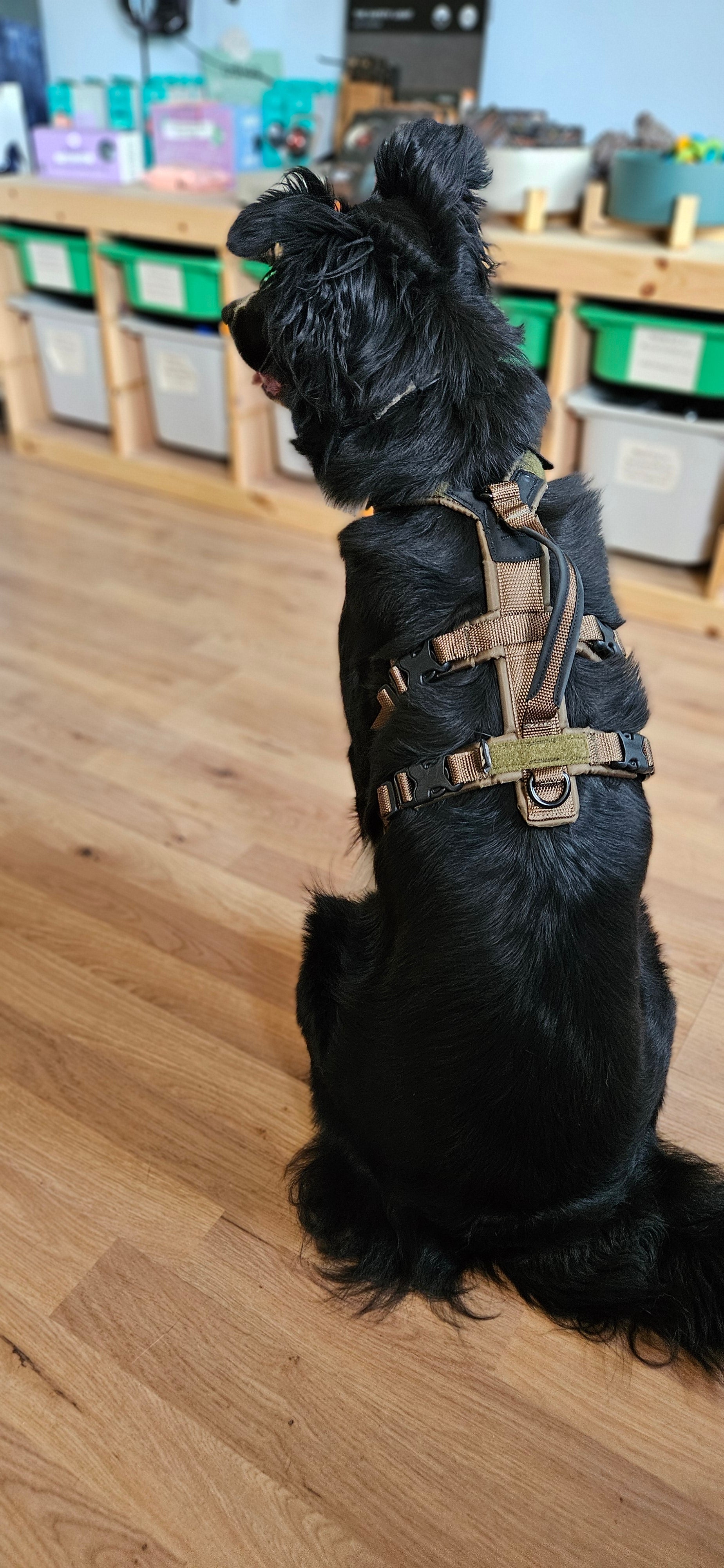 Line Harness Long WD (Non - Stop Dogwear) - SnowPaw Store - Non - Stop Dogwear - Dog Harness