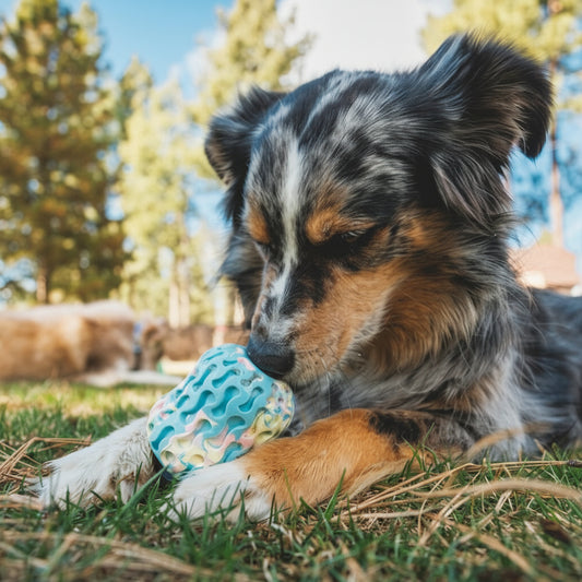 Morel Toy (Ruffwear) - SnowPaw Store - Ruffwear - Dog Toys