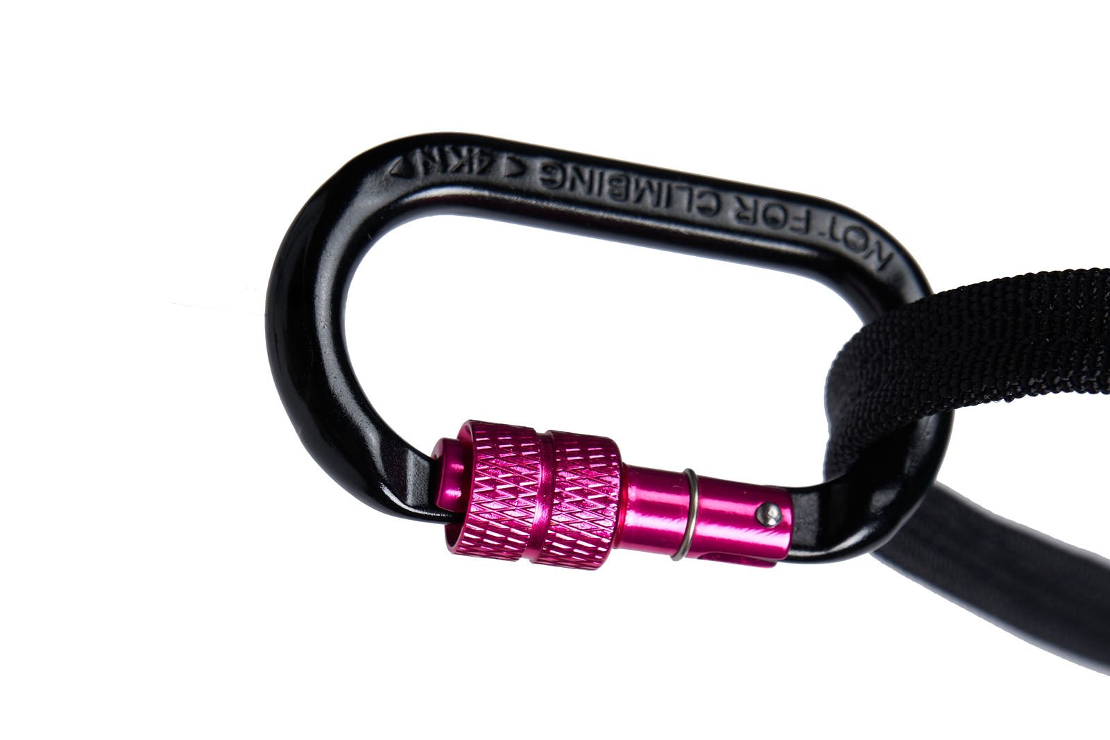 ***NEW COLOUR*** CaniX Belt 2.0 (Non - Stop Dogwear) - SnowPaw Store - Non - Stop Dogwear - Canicross