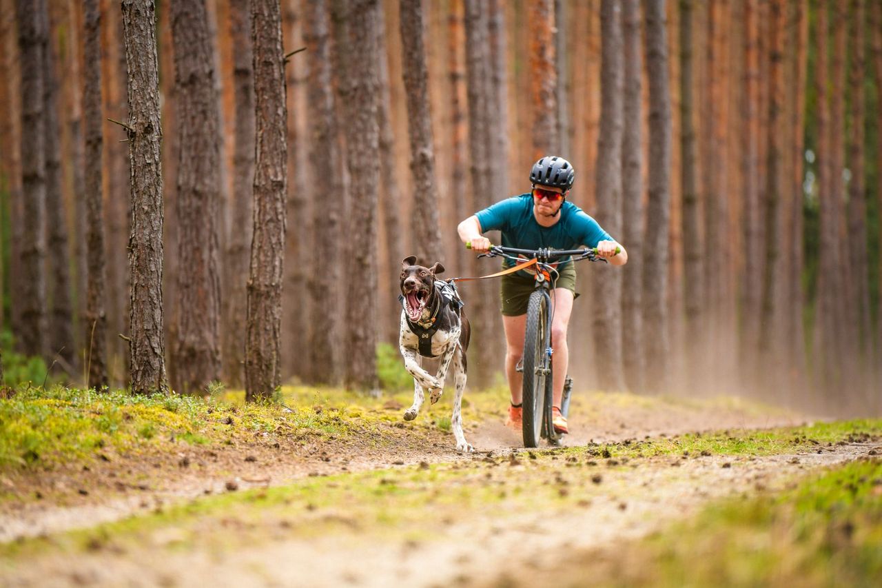 ***NEW COLOUR*** CaniX Tech Tee (Non - Stop Dogwear) - SnowPaw Store - Non - Stop Dogwear - Active Human Gear