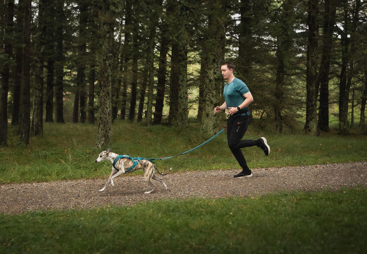 ***NEW COLOUR*** CaniX Tech Tee (Non - Stop Dogwear) - SnowPaw Store - Non - Stop Dogwear - Active Human Gear