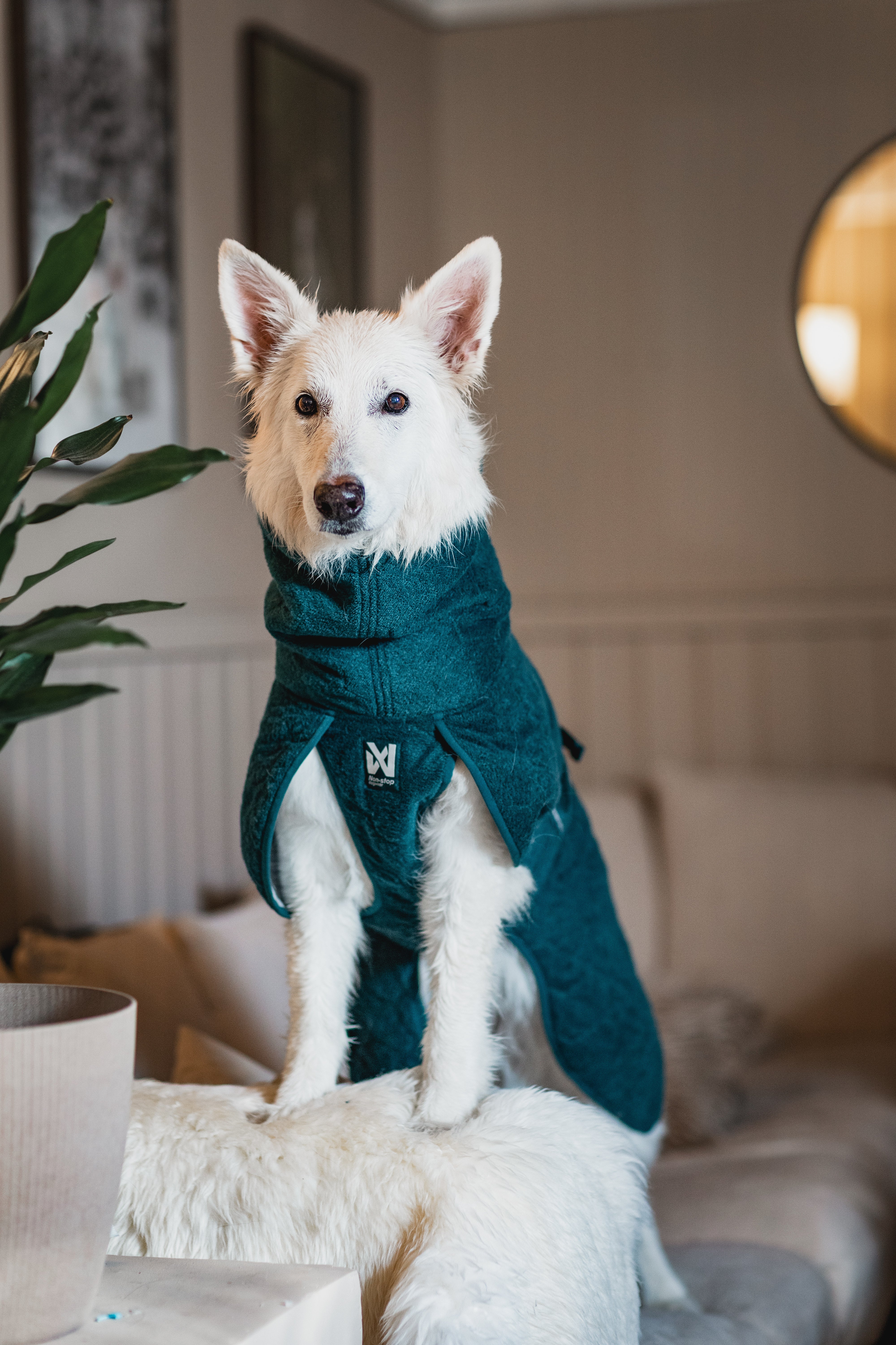 ***NEW COLOUR*** Drying Coat (Non-Stop Dogwear) - SnowPaw Store - Non-Stop Dogwear - Dog Coats