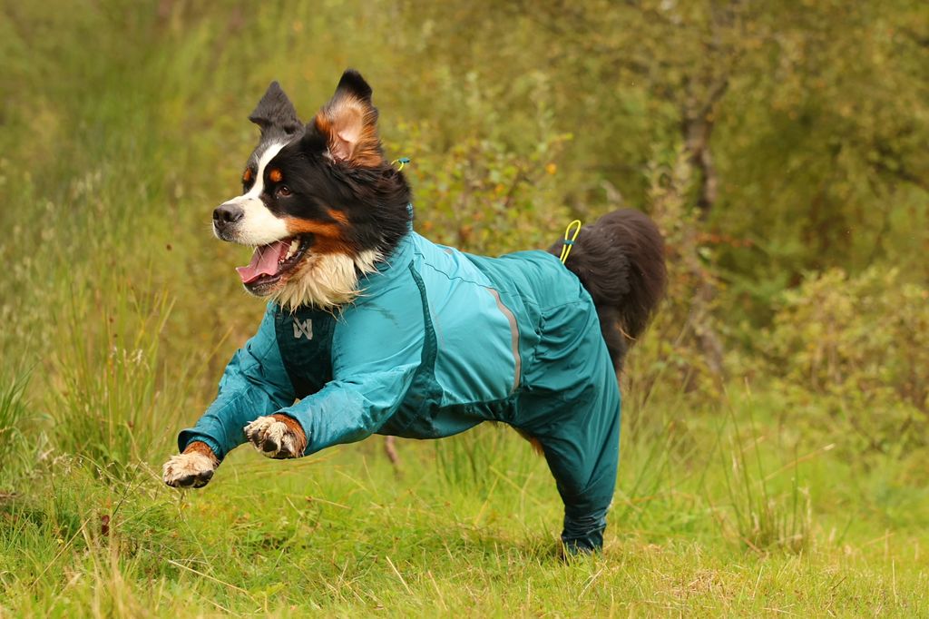 ***NEW*** Fjord Overall Raincoat (Non - Stop Dogwear) - SnowPaw Store - Non - Stop Dogwear - Dog Coats